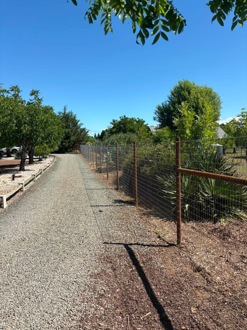Deer Fencing in Salem