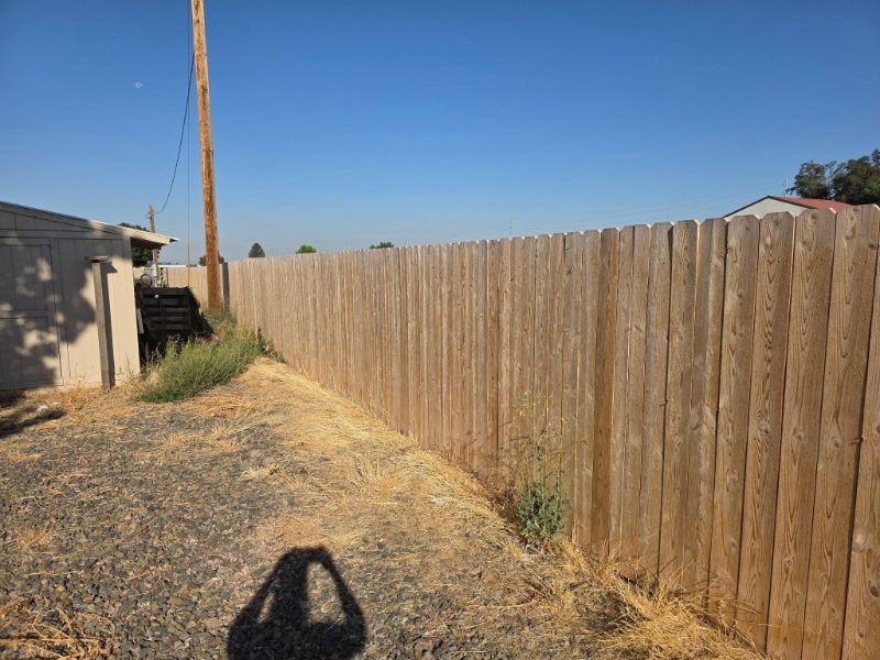 Fence Staining project — Salem, Massachusetts